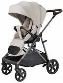 Серый [Cloud Grey]