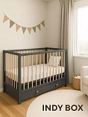Детская кровать Rant Indy Box маятник