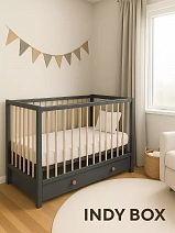 Детская кровать Rant Indy Box маятник