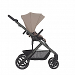 Бежевый [Rooty]