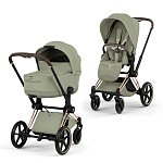 Детская коляска Cybex Priam V Style 2 в 1